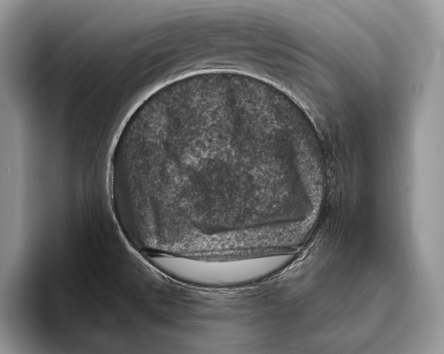 X0000095961527200802081307