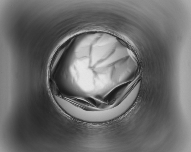 X0000095961528200802081307