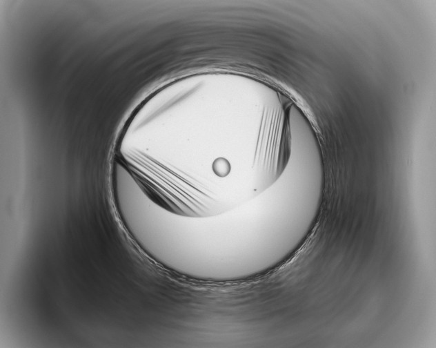 X0000095961530200802081307