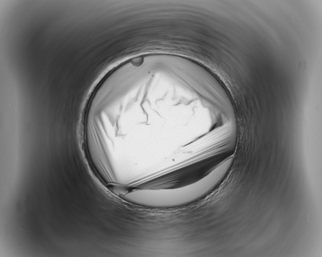 X0000095961531200802081307