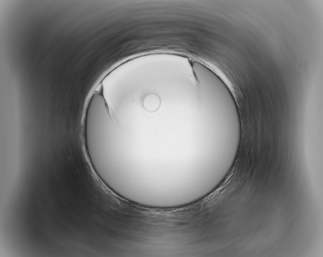 X0000095961532200802081307