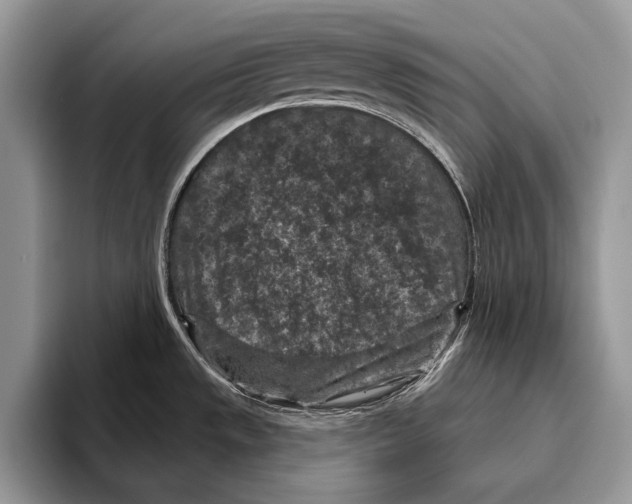 X0000095961533200802081307