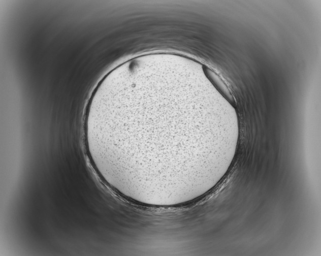 X0000095961534200802081307