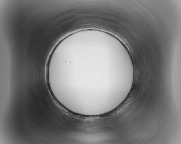 X0000095961535200802081307