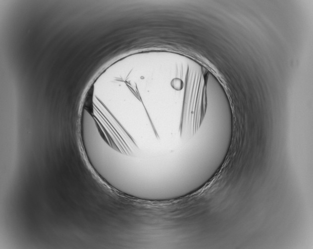 X0000095961536200802081307