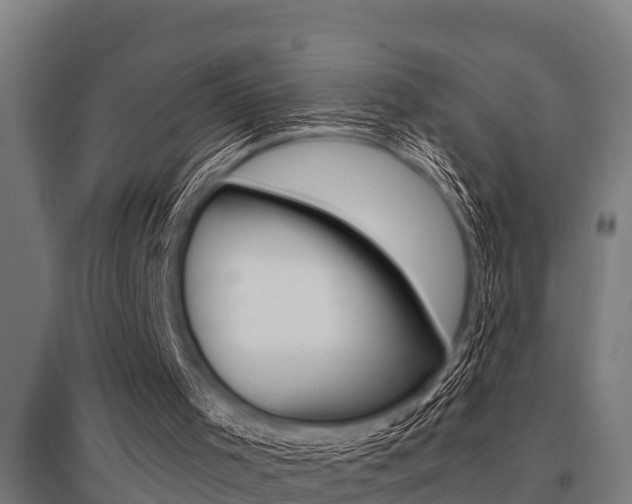 X0000096130001200801180840