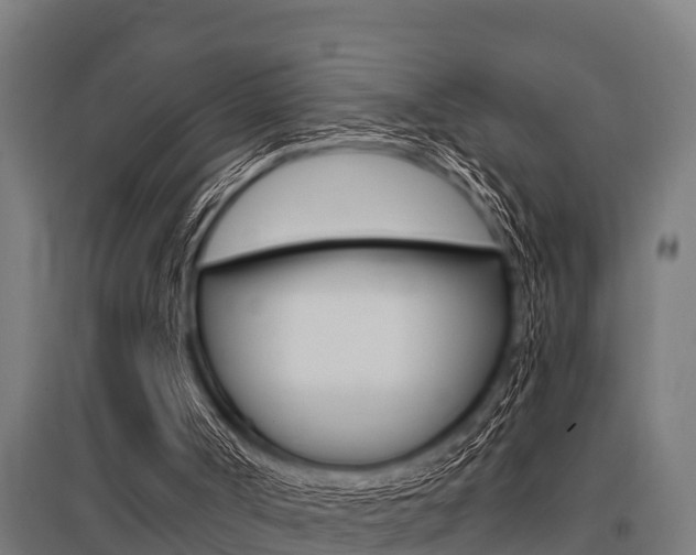 X0000096130002200801180840