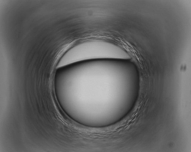 X0000096130003200801180840