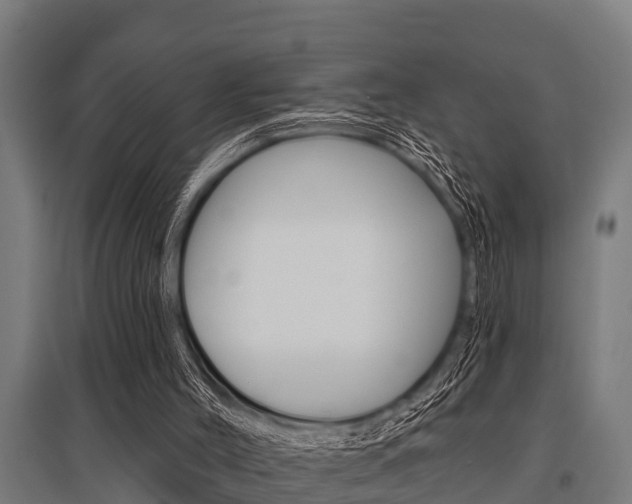 X0000096130004200801180840