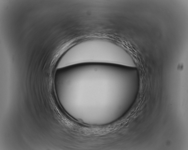 X0000096130005200801180840