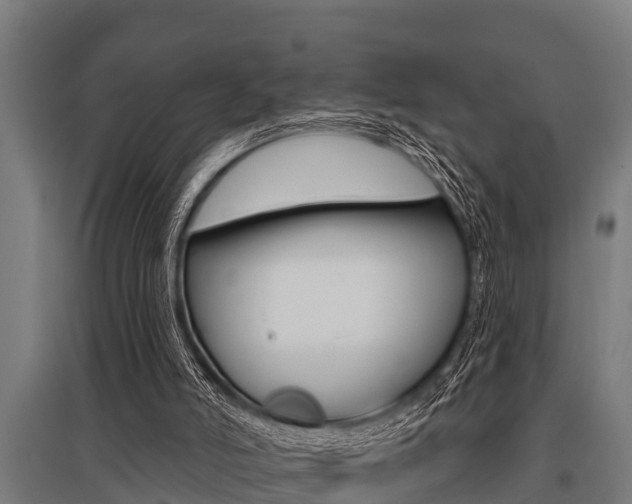X0000096130006200801180840
