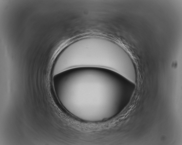 X0000096130007200801180840
