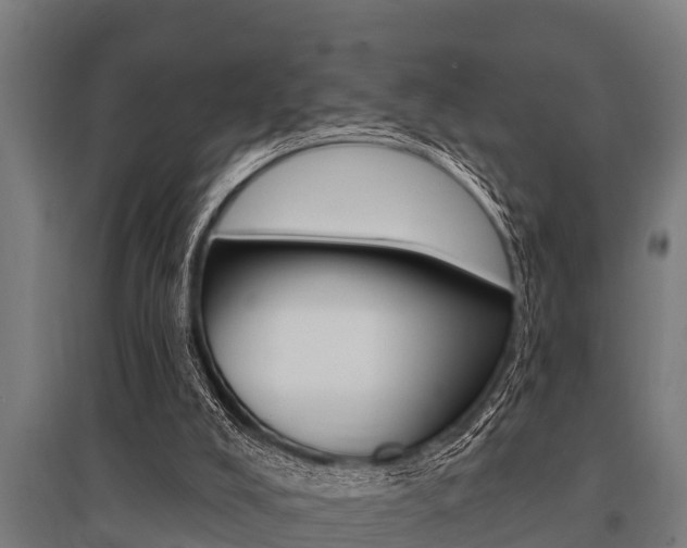 X0000096130008200801180840