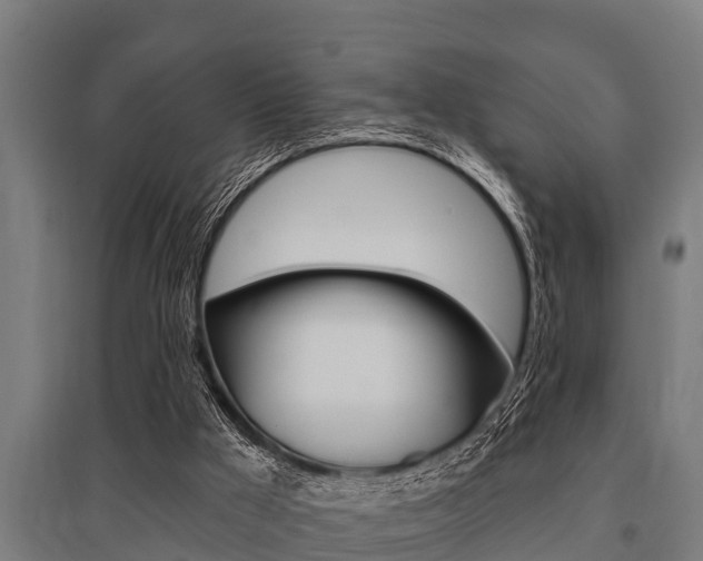 X0000096130009200801180840