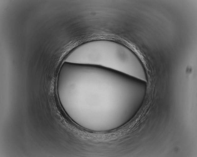 X0000096130010200801180840