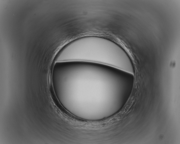 X0000096130011200801180839
