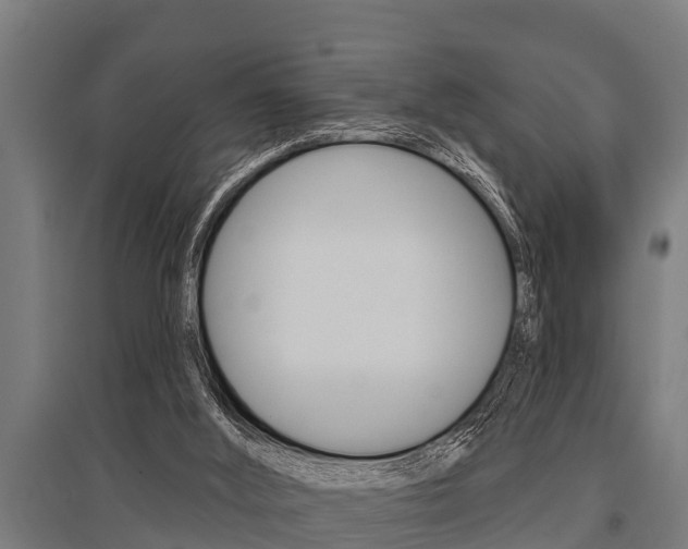 X0000096130012200801180839