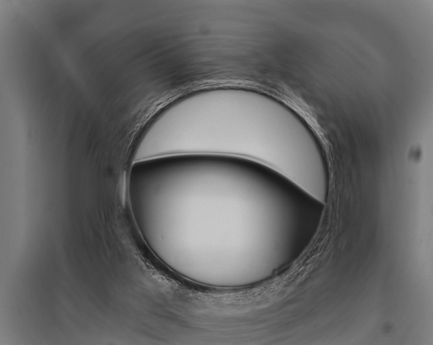 X0000096130013200801180839
