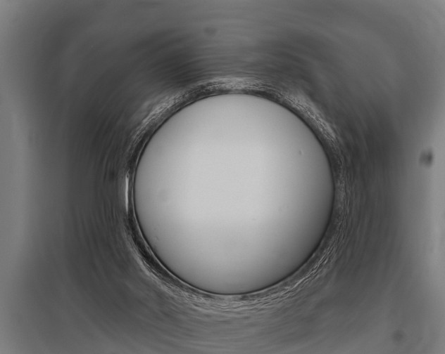 X0000096130014200801180839