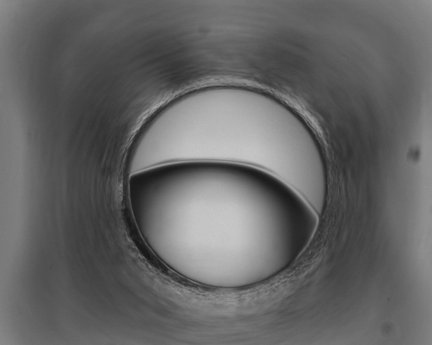 X0000096130015200801180839