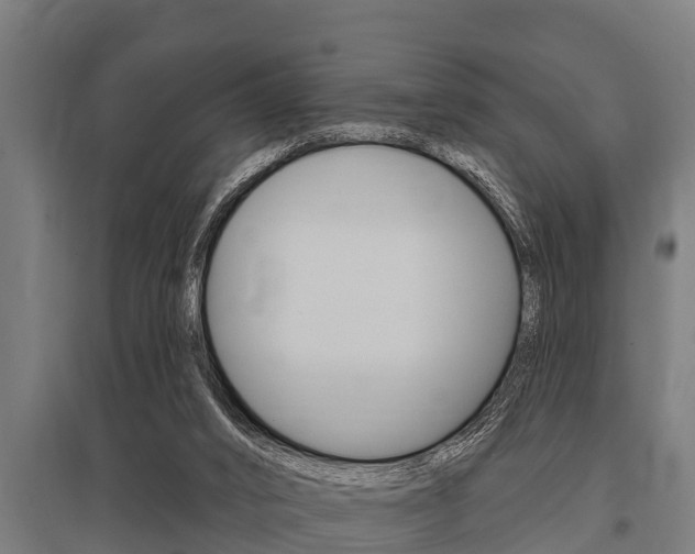 X0000096130016200801180839