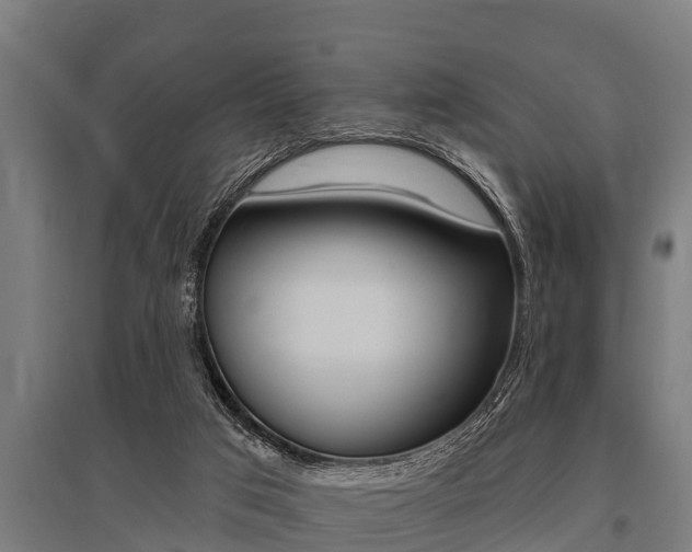 X0000096130017200801180839