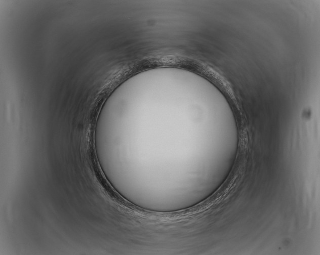 X0000096130018200801180839