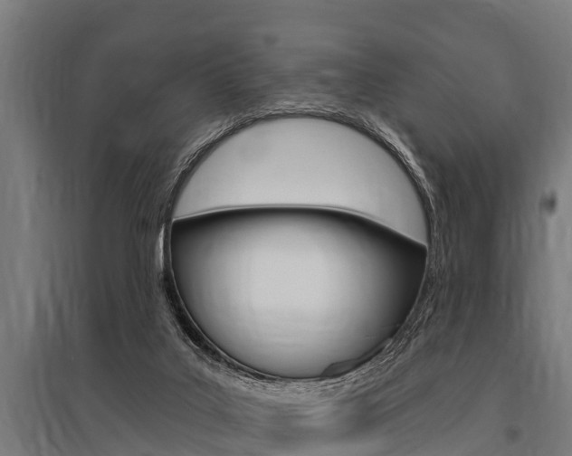 X0000096130019200801180839
