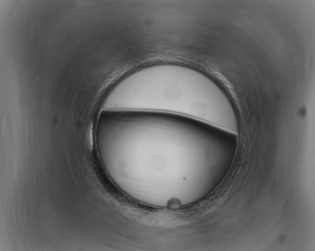 X0000096130020200801180839
