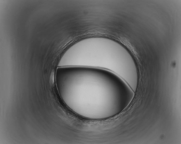 X0000096130021200801180839