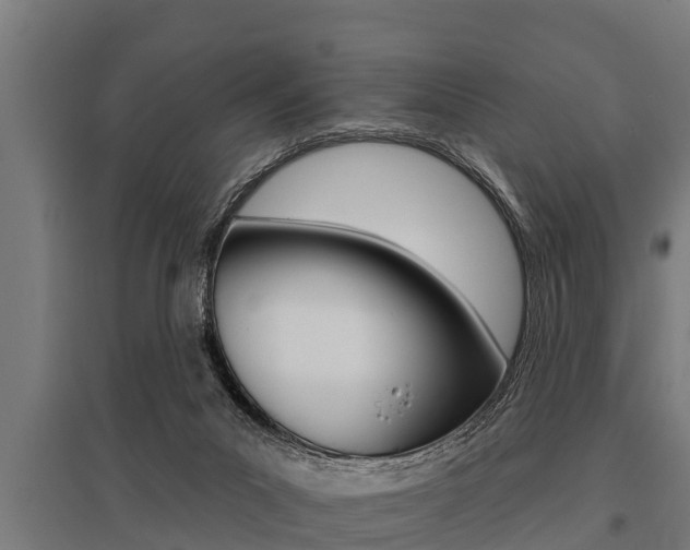 X0000096130023200801180839
