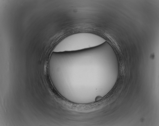 X0000096130026200801180839