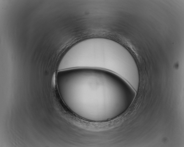 X0000096130027200801180839