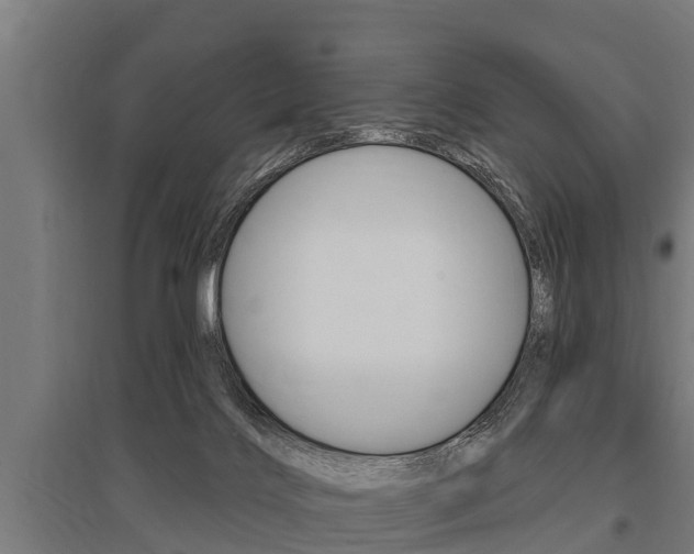 X0000096130028200801180839