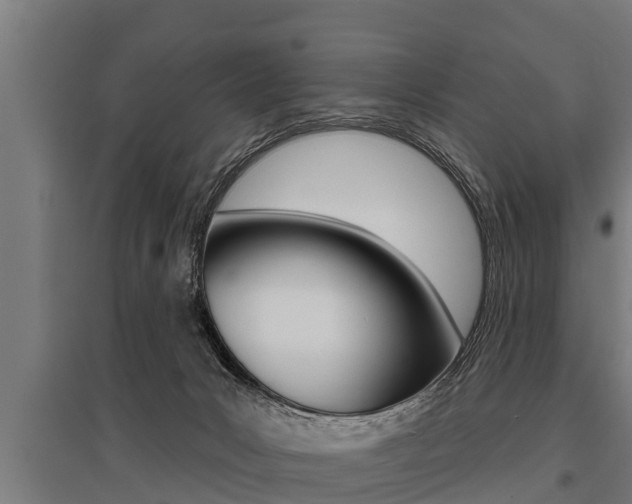 X0000096130031200801180839