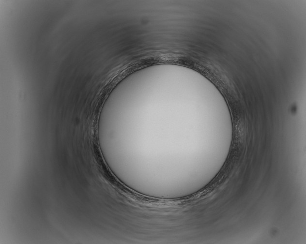 X0000096130032200801180839