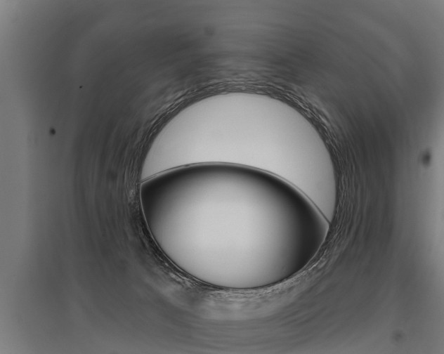 X0000096130033200801180839