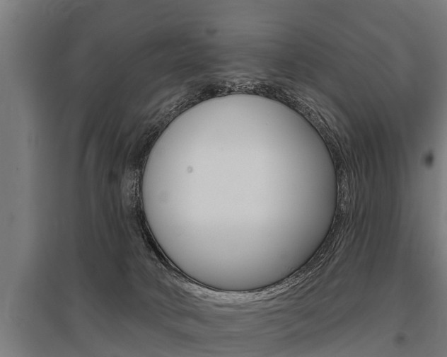 X0000096130034200801180839
