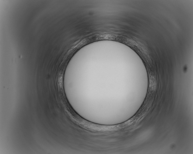 X0000096130036200801180839