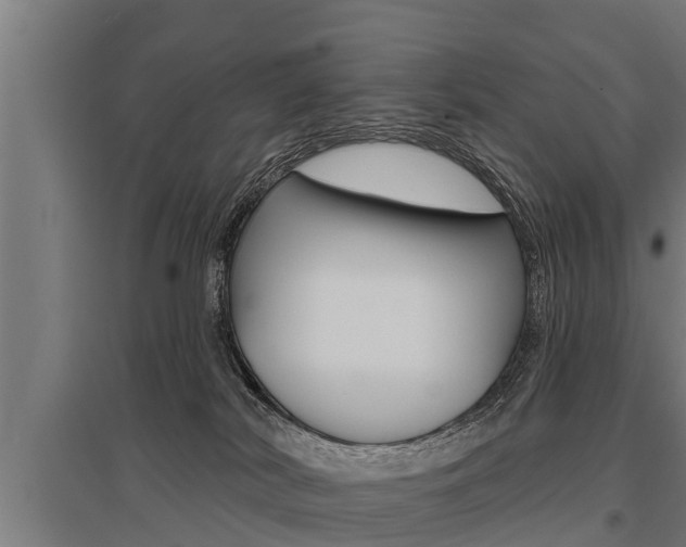 X0000096130038200801180839