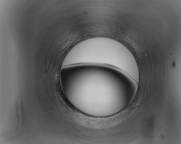 X0000096130039200801180839