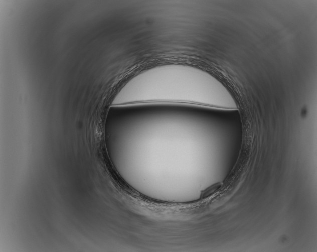X0000096130040200801180839