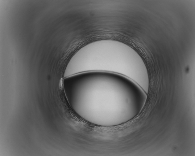 X0000096130041200801180839