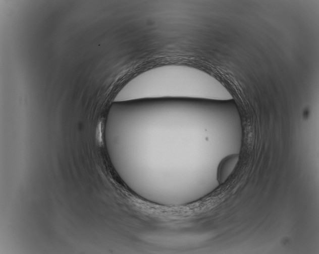 X0000096130042200801180839