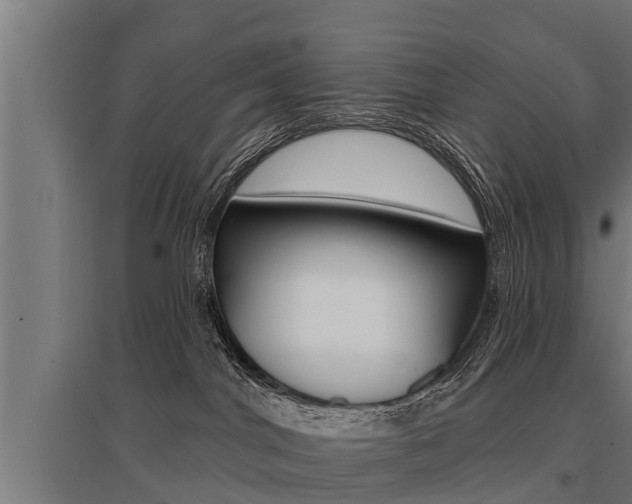 X0000096130044200801180839