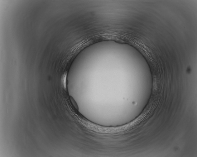 X0000096130047200801180839
