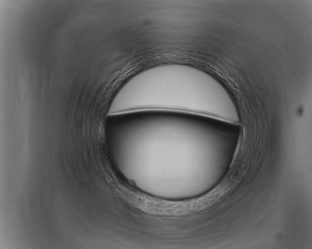 X0000096130048200801180839