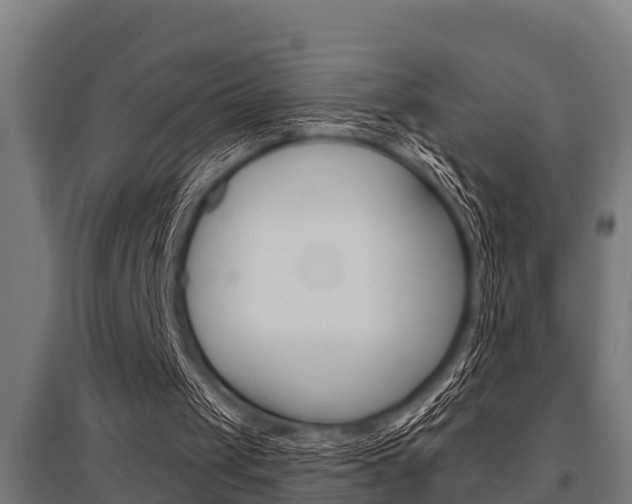 X0000096130049200801180838