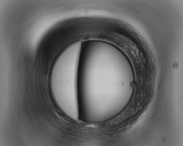 X0000096130050200801180838