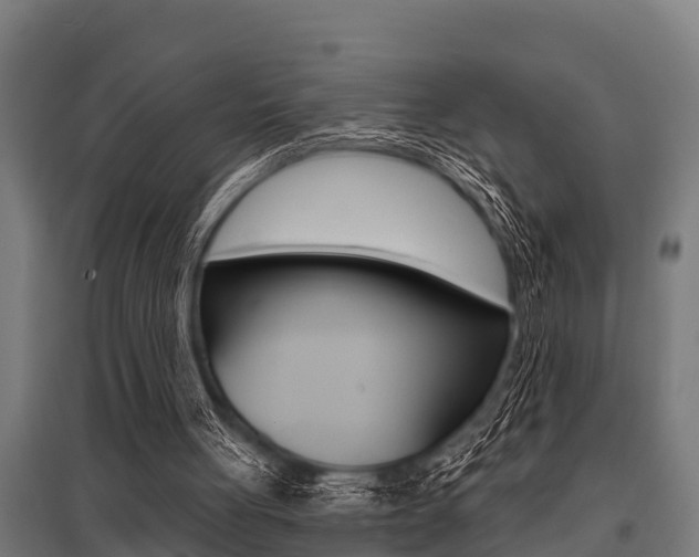 X0000096130051200801180838
